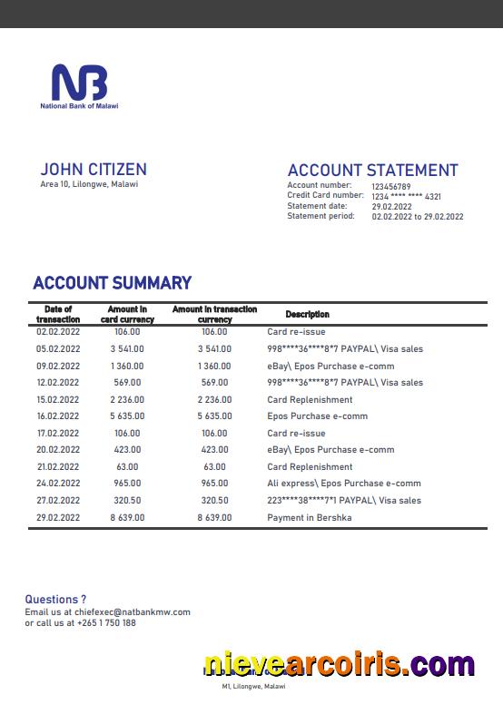 Malawi National Bank of Malawi bank statement in Word and PDF format